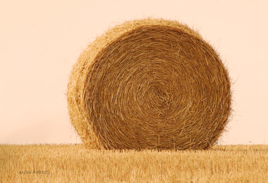 Straw Bale Photograph by Don Durfee