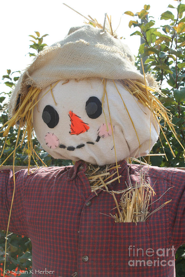 Straw Stuffed Photograph by Susan Herber