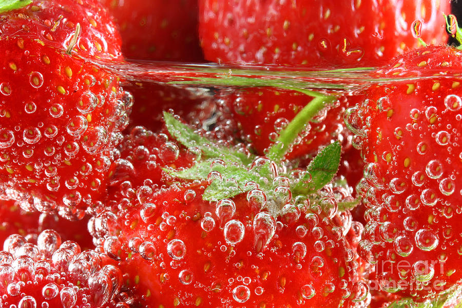 Strawberries in water close up Photograph by Simon Bratt