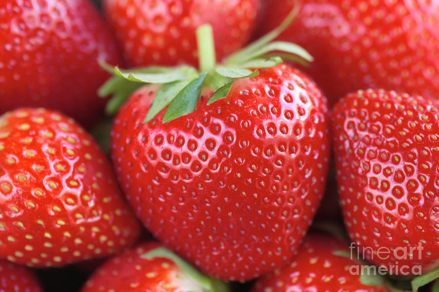 Strawberry Photograph - Strawberries by Neil Overy