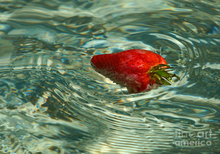 Strawberry Photograph by Clare VanderVeen