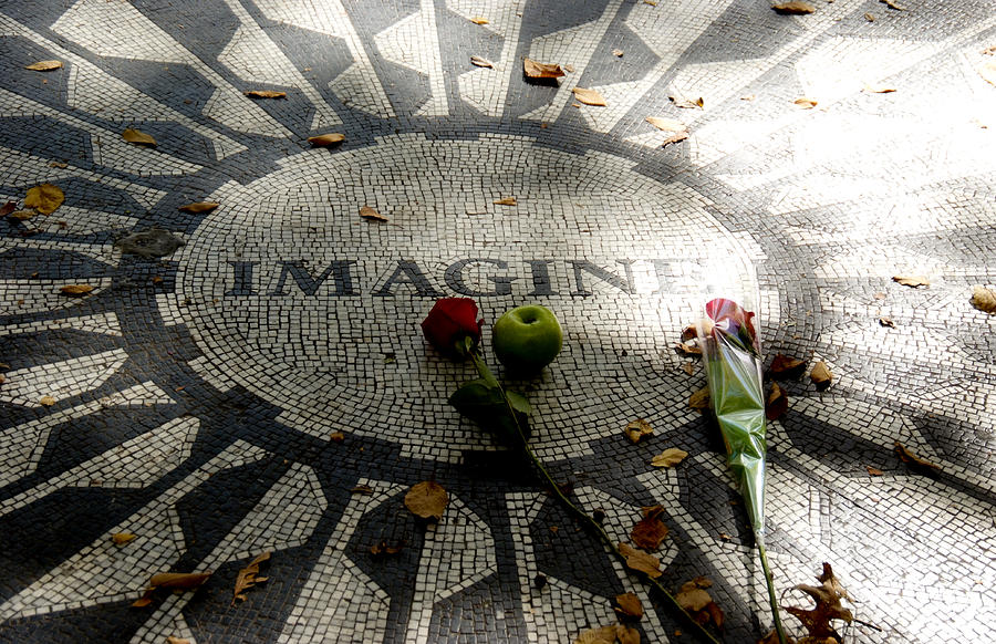 Strawberry Fields Photograph by Michael Dorn