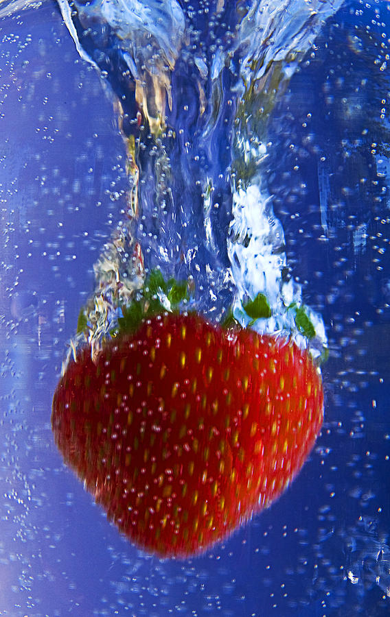 Strawberry Magic Photograph by Trudy Wilkerson