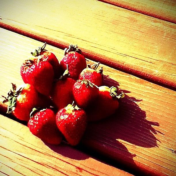 Strawberry Photograph - #strawberry, #strawberries, #deck by Ariane Polena