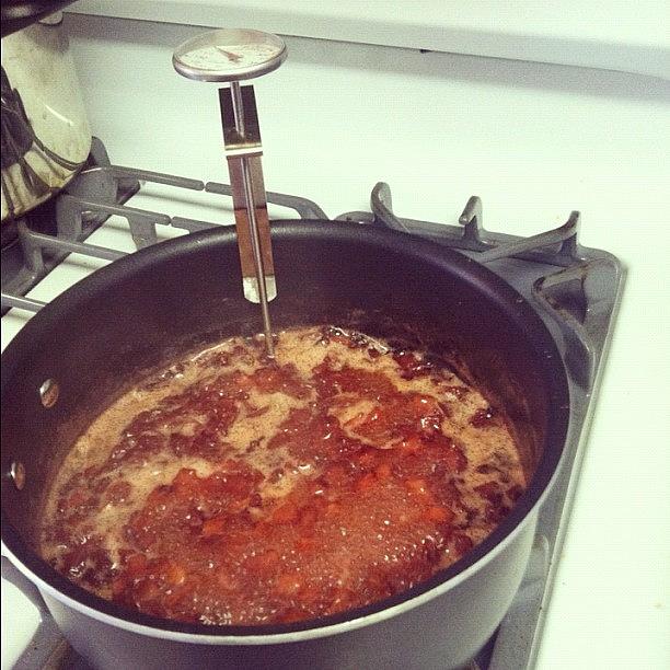 Strawberry Vanilla Jam In The Making. :) Photograph by Brittany Ryburn