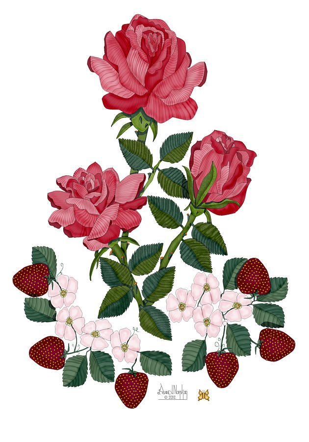 Roses Painting - Strawberry Wine and Roses by Anne Norskog Roses Painting - Strawberry Wine and Roses by Anne Norskog