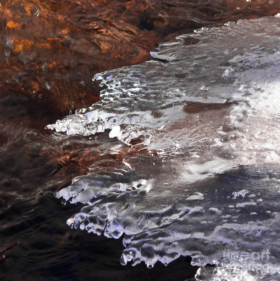 Stream Edge Ice Photograph by L J Oakes
