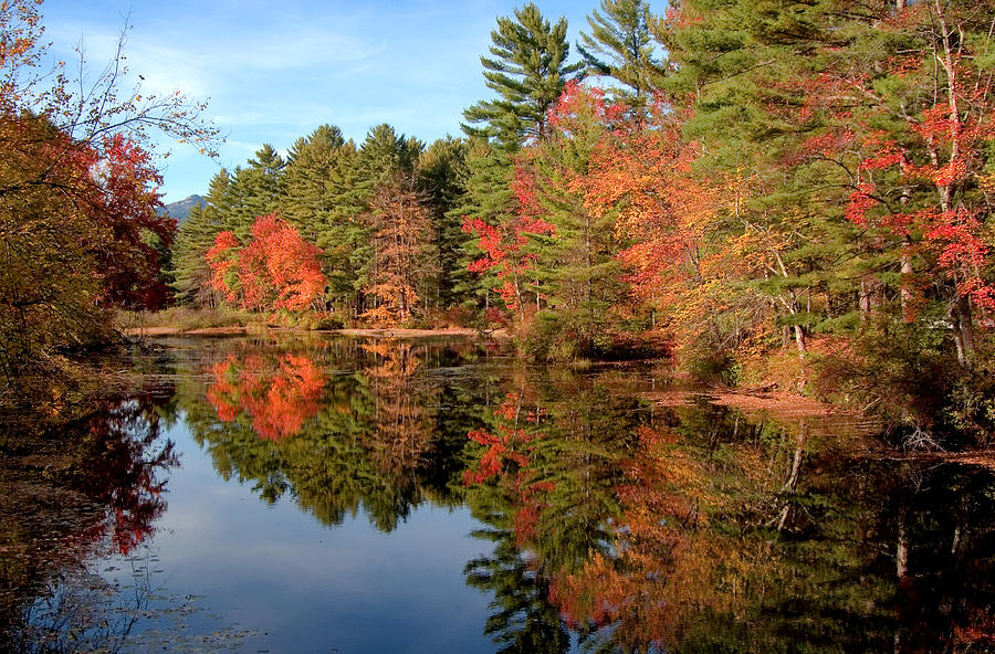 Stream in Autumn Photograph by Larry Landolfi