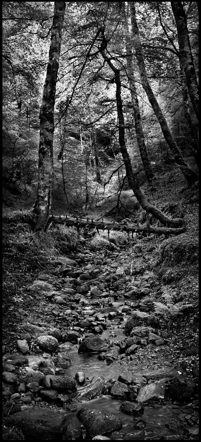 Stream in Reelig glen Black and white Photograph by Joe Macrae