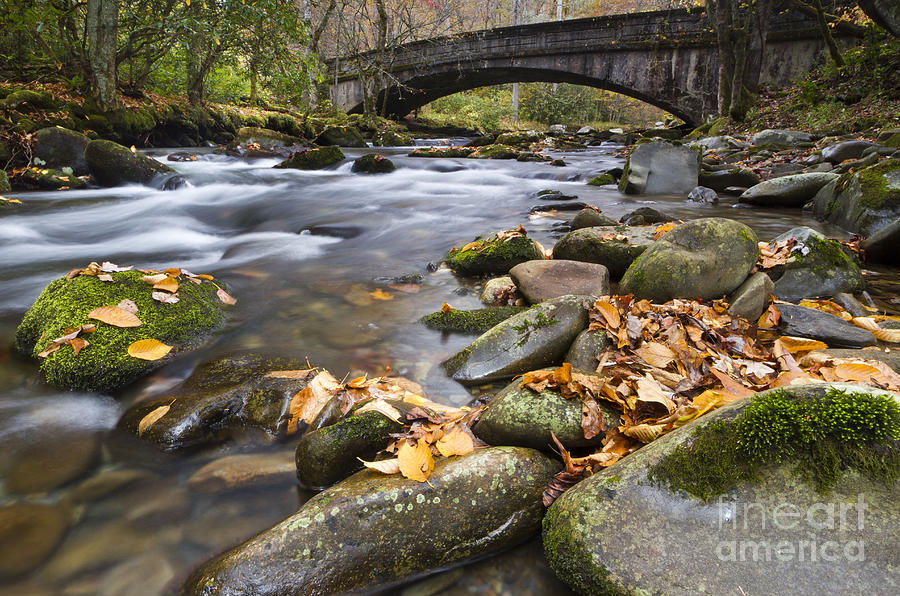 Bridge Photograph - Stream in the Great Smokie Mountain National Park by Dustin K Ryan
