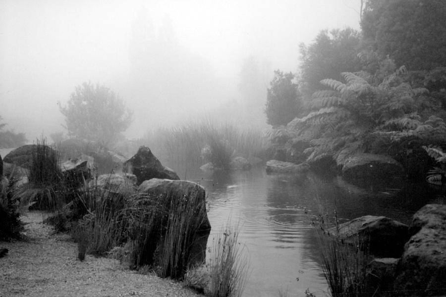 Stream in the Mist Photograph by Jackie Sherwood