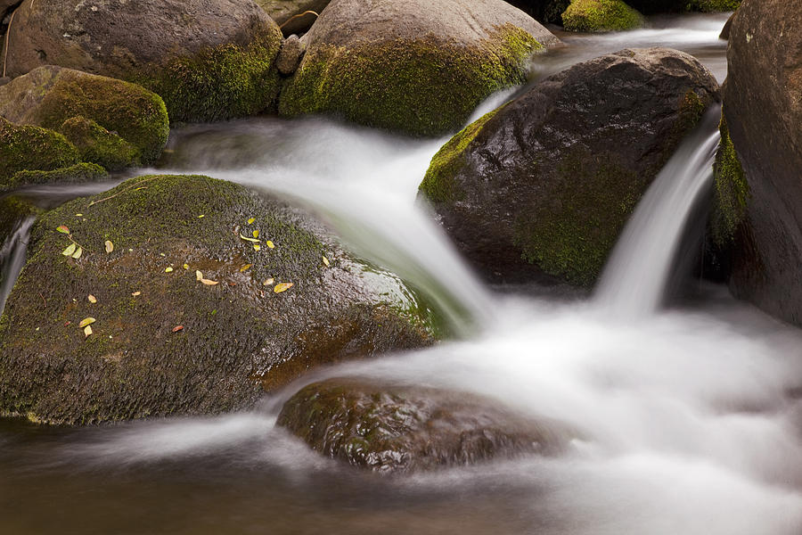 Stream Moving over Rocks Photograph by Jenna Szerlag