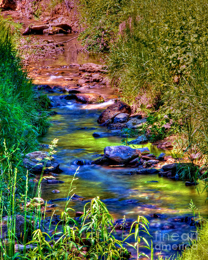 Stream of Color Photograph by Mark Dodd