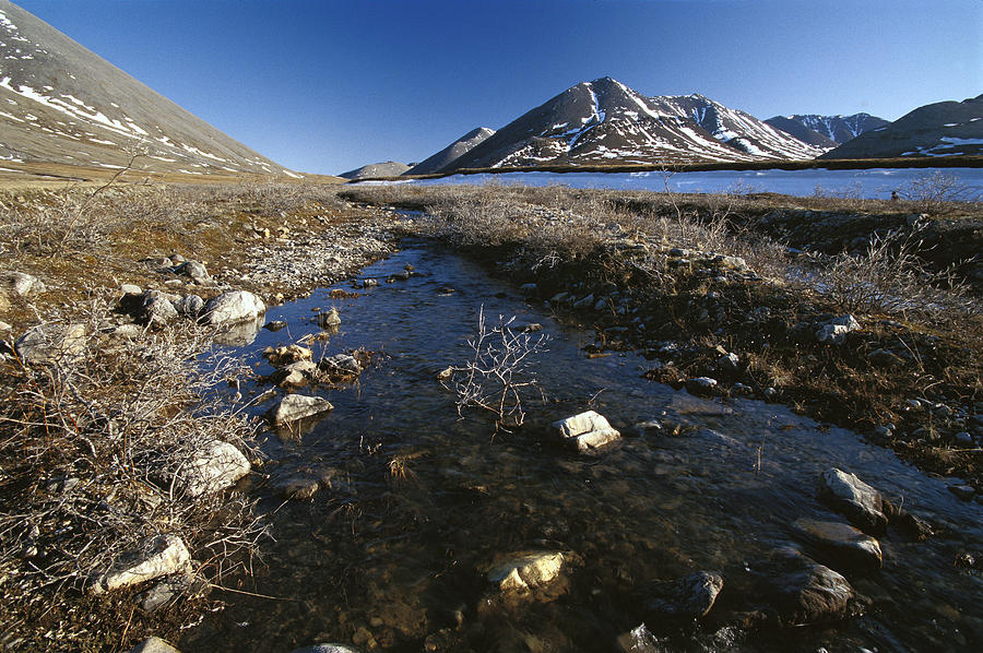 Stream Running Over Tundra, Arctic Photograph by Gerry Ellis