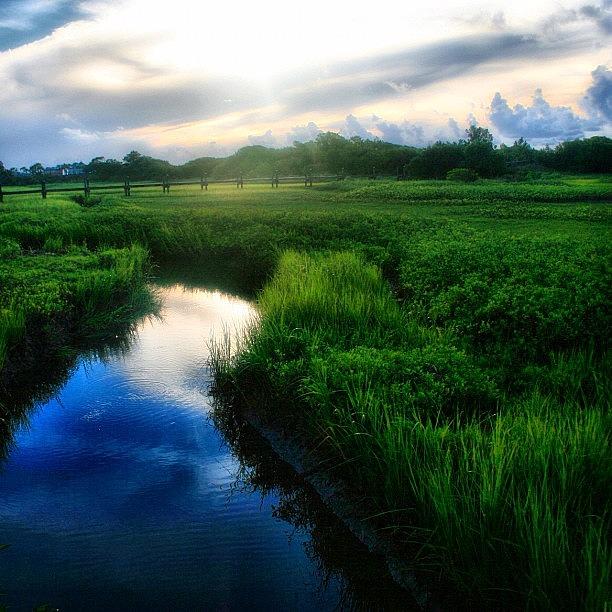 Stream Through The Marsh Photograph by Tony Delsignore