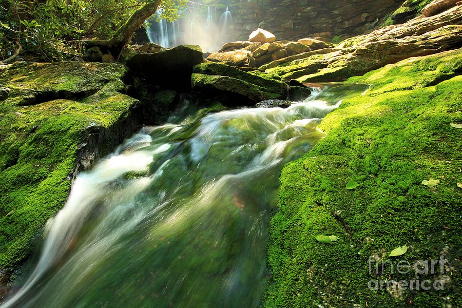 Stream Through The Moss Photograph by Adam Jewell