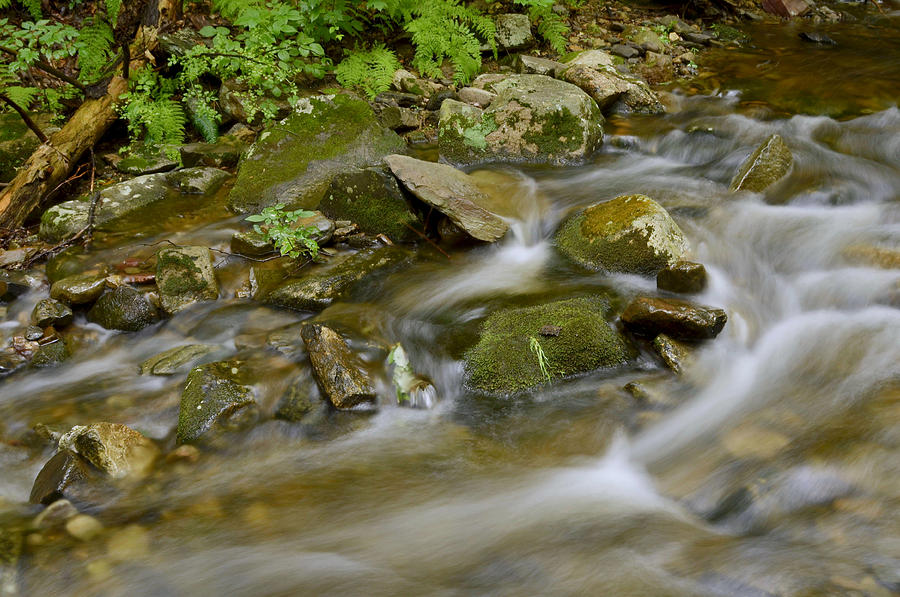 Nature Photograph - Stream Water Movement by Stephen Vecchiotti