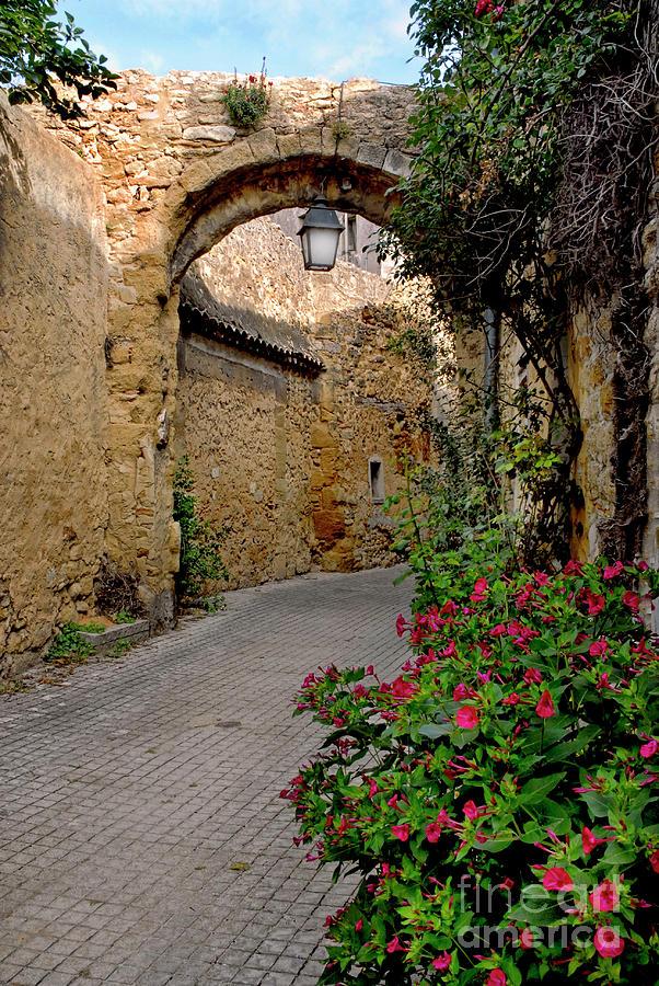 Street in Provence Photograph by Dave Mills