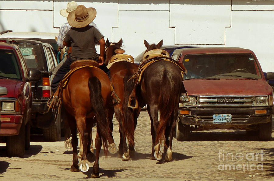 Horse Photograph - Street Scene. Mexico by Anna  Duyunova