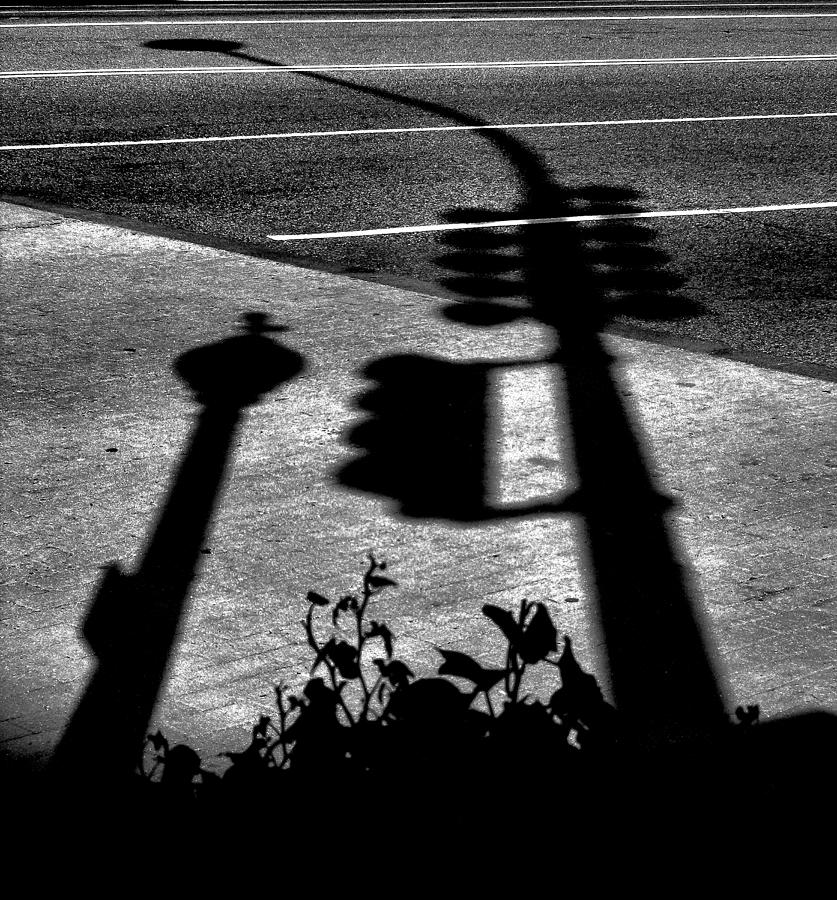 Street Shadows Photograph by Steven Ainsworth