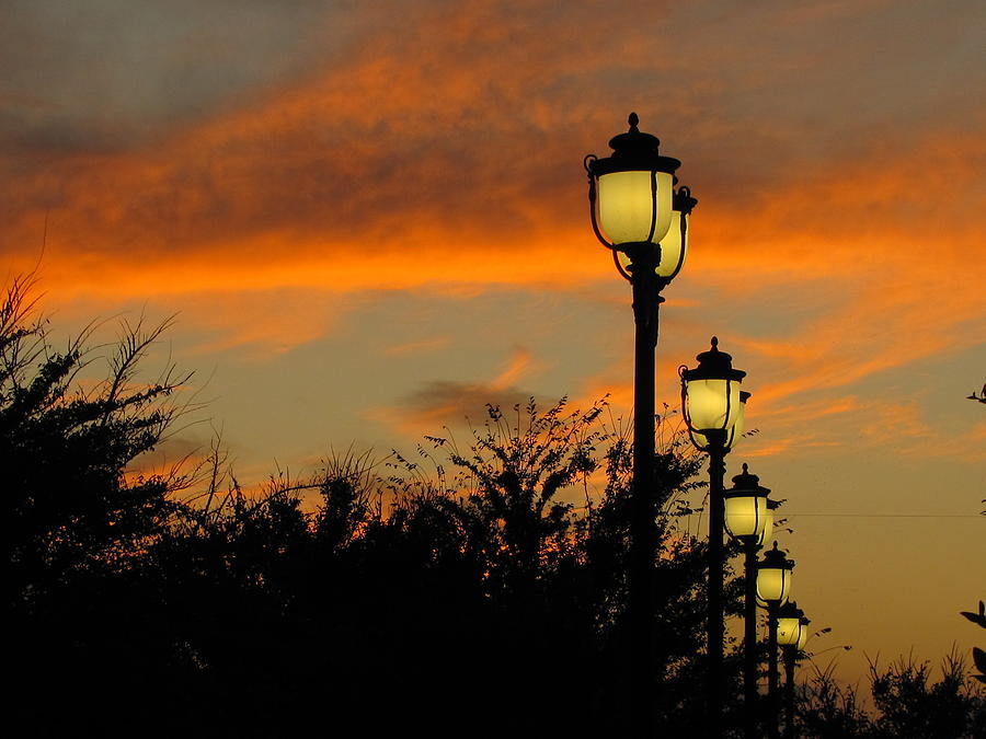 Streetlamp Sunset Photograph by RobLew Photography