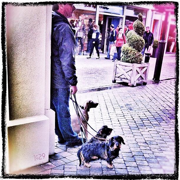 Dog Photograph - #streetphoto #streetstyles_gf #dog by Gennadiy S