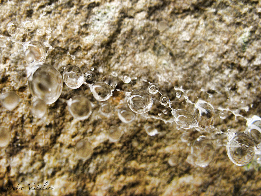 String Of Crystals Photograph by Debra     Vatalaro