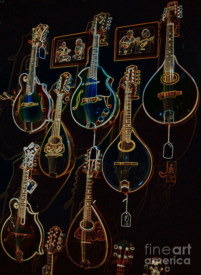 String Sounds Photograph by David Bearden