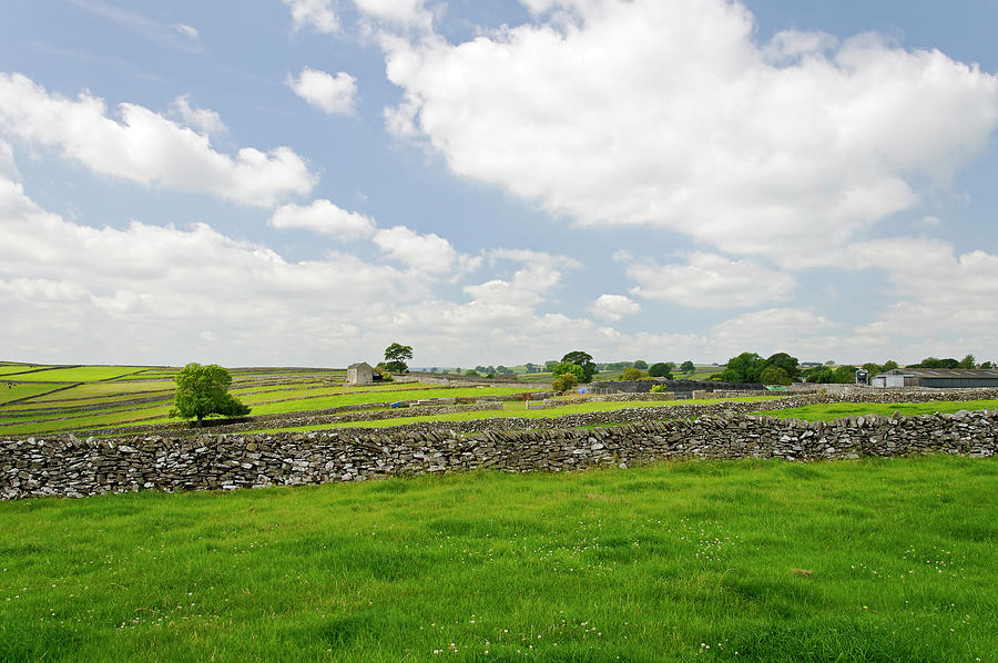 Strip Fields South of Litton Photograph by Rod Johnson