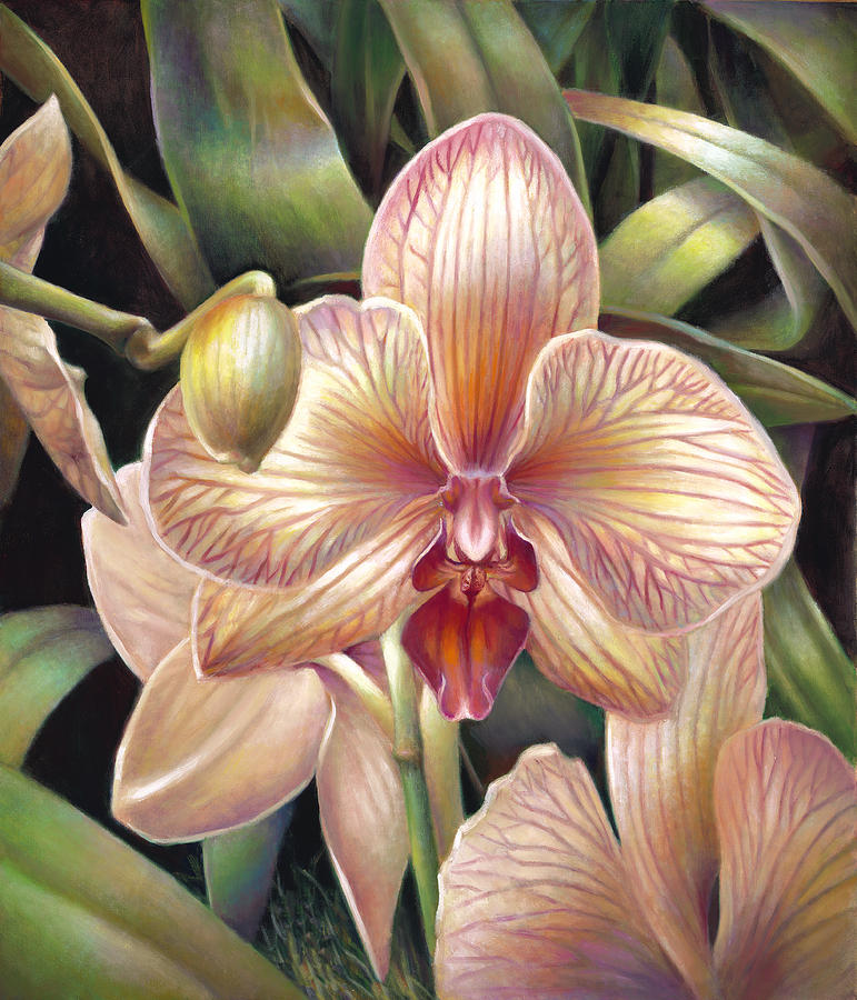 Striped Peach Orchid Painting by Nancy Tilles