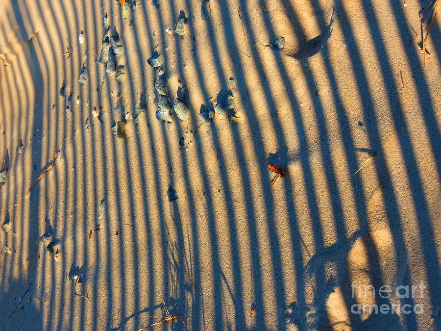 Striped Sand Photograph