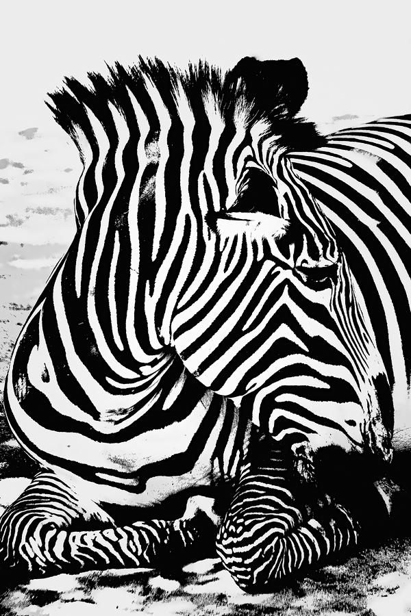 Stripes 2 Digital Art by Zsuzsanna Szugyi | Fine Art America