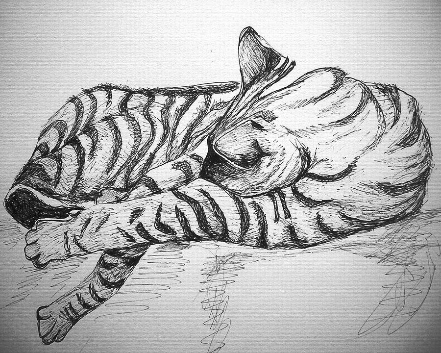 Stripes Drawing by Mary Schiros