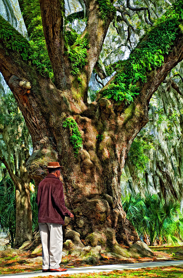 New Orleans Photograph - Strolling With Giants painted by Steve Harrington