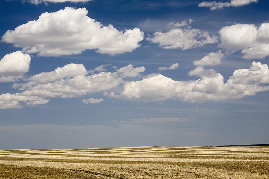 Stubble Field Photograph By Michael Interisano 