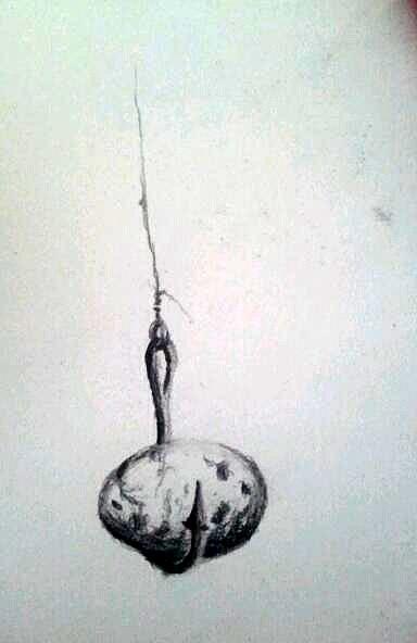 Study for A Good Strong Knot Drawing by Mary C Farrenkopf