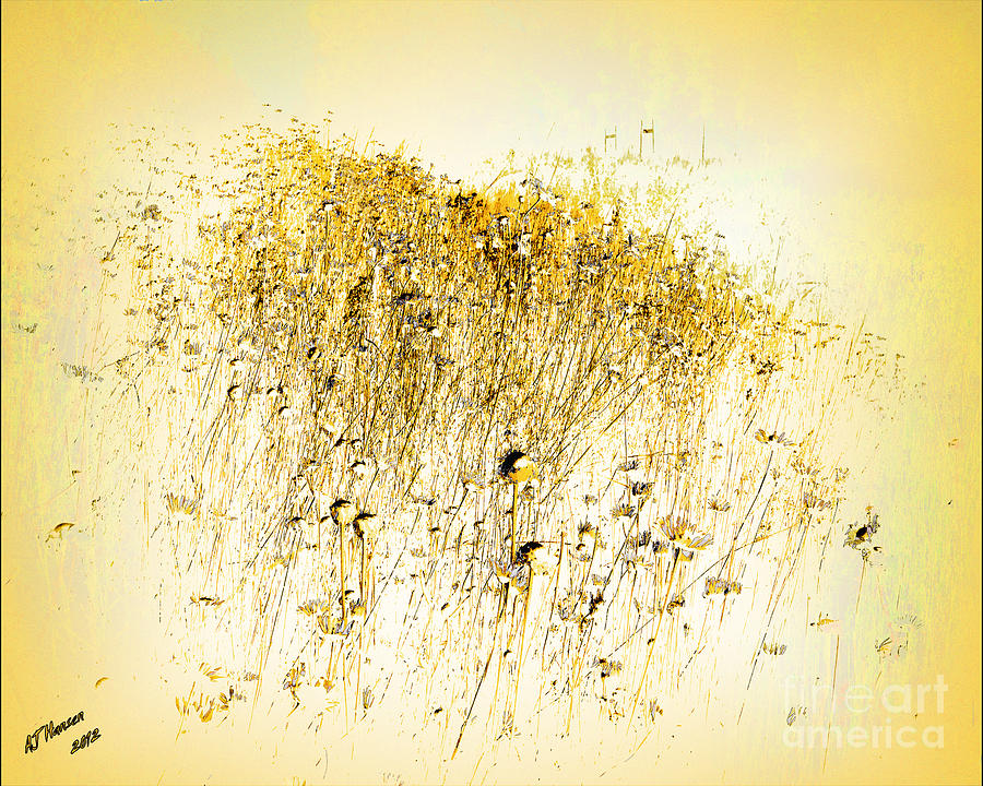 Summer Photograph - Study in Yellow by Arne Hansen