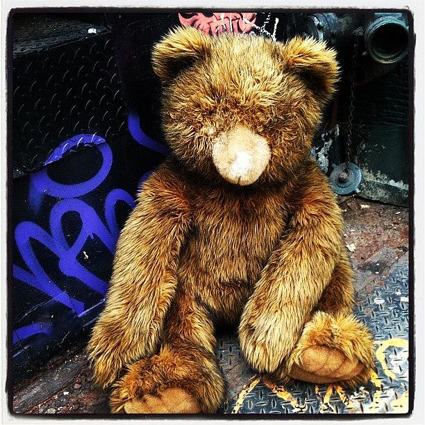 Bear Photograph - #stuffedanimals #bear #nyc #soho by Jennifer Silva