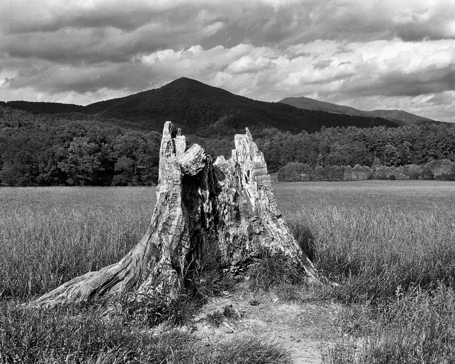 Black And White Photograph - Stump In a Field by Greg Matchick