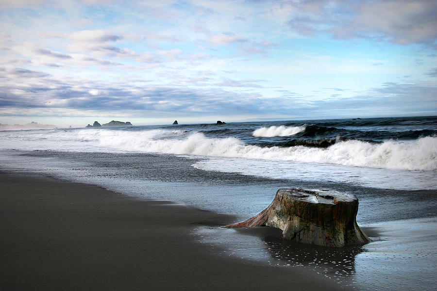 Stump on a Beach Photograph by Anthony Jones