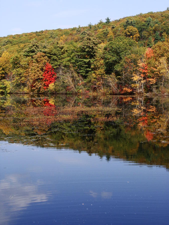 Stump Pond Smithfield Ri Photograph by Chris Montecalvo