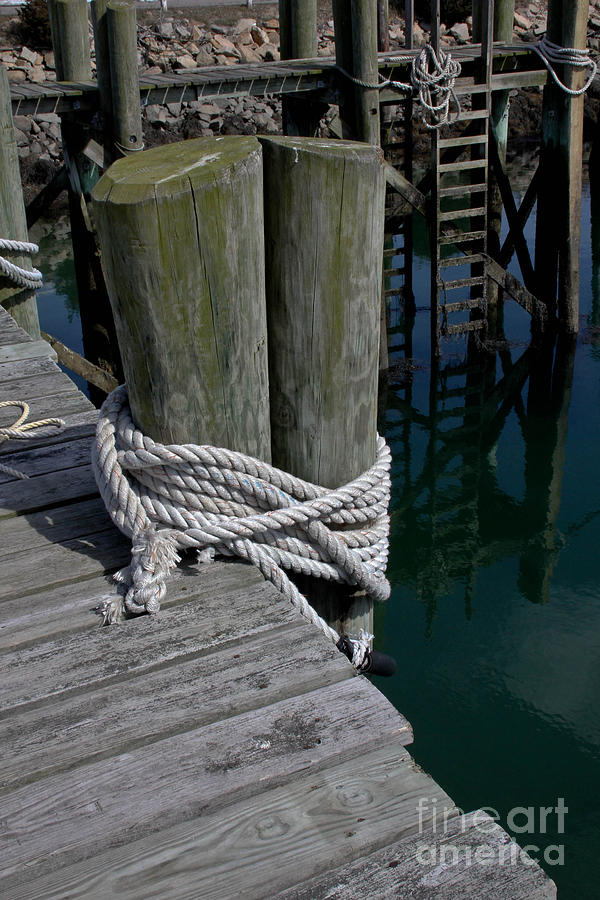Pier Photograph - Sturdy Pilings  by Extrospection Art