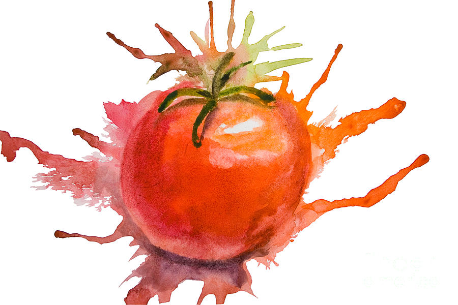 Stylized illustration of tomato Painting by Regina Jershova