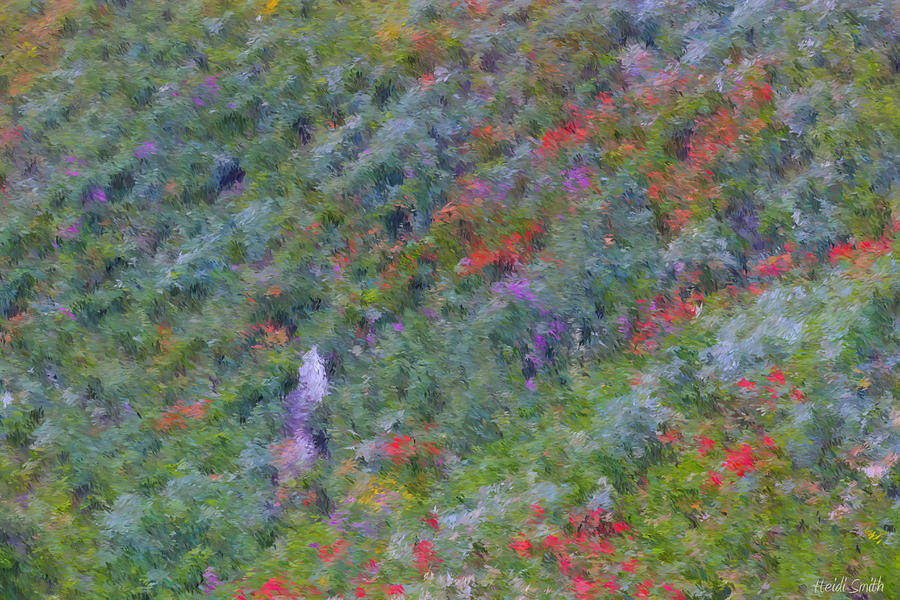 Subalpine Wildflowers - Impressionism Photograph by Heidi Smith