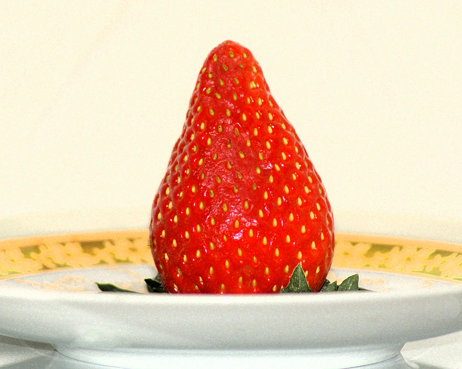 Succulent Strawberry Photograph by Margie Avellino