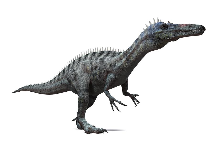 suchomimus dinosaur