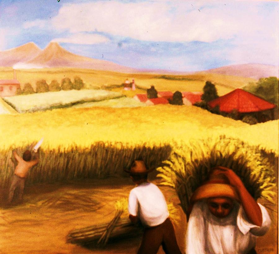 Sugar Cane  Painting by Clotilde Espinosa