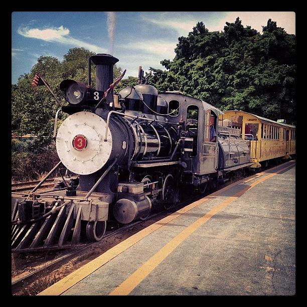 Train Photograph - Sugar Cane Train by Darice Machel McGuire Train Photograph - Sugar Cane Train by Darice Machel McGuire