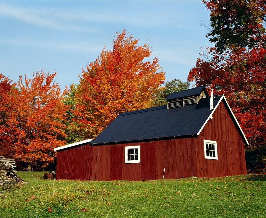 Sugar House With Fall Trees Photograph by David Chapman