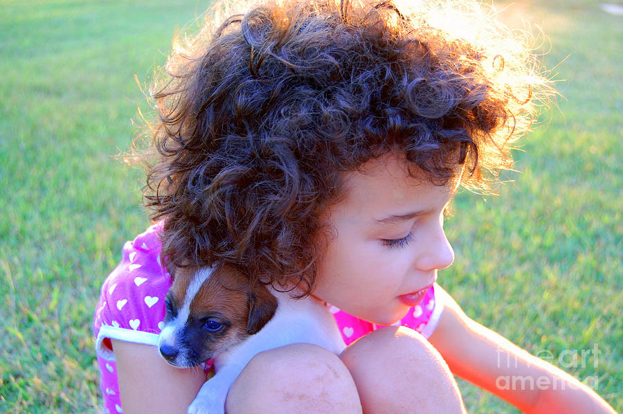 Puppies Photograph - Summer by Anjanette Douglas